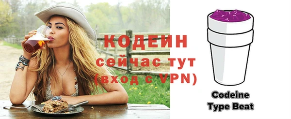 2c-b Новозыбков