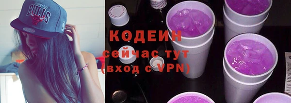 2c-b Новозыбков