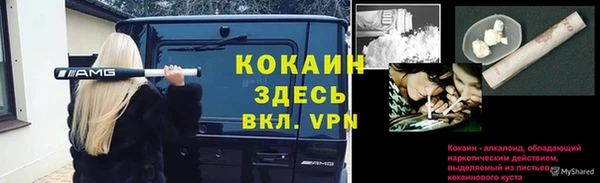 2c-b Новозыбков